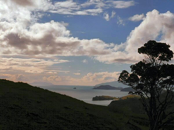 Coromandel 4